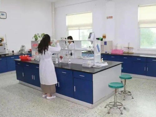 環保設施云開放丨云游潮州市第一污水處理廠 揭秘污水變清流環保咨詢服務